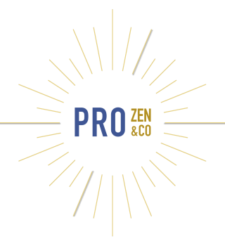 logo_prozen_plain_big